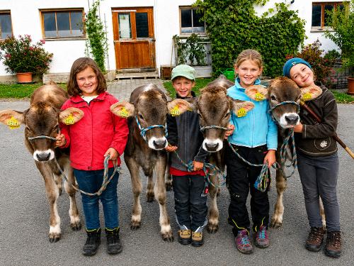 TIERE HAUTNAH ERLEBBAR TIERE HAUTNAH ERLEBBAR