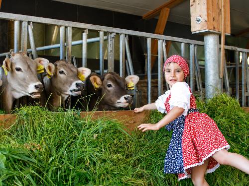 LANDWIRTSCHAFT LIVE