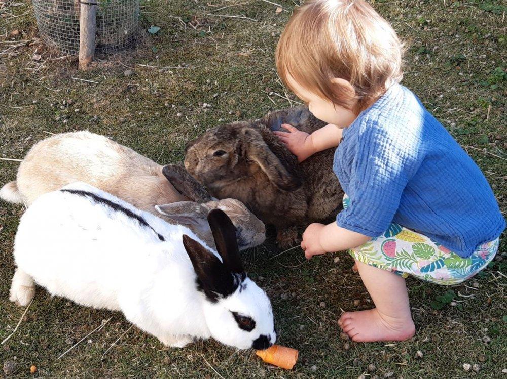 bei den Kaninchen habe ich Spaß