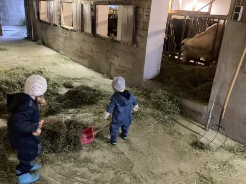 E28D82EF-6F20-4B49-86E7-87F0B39581D2_1_105_c