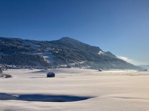 Grüntenblick im Winter