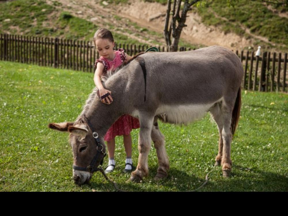 eselemilliebtesgebrstetzuwerden
