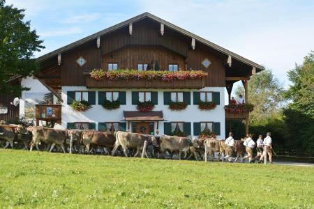 scheibelehof