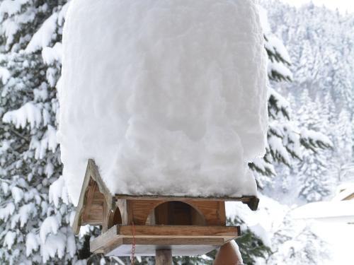 Vogelhaus im Schnee