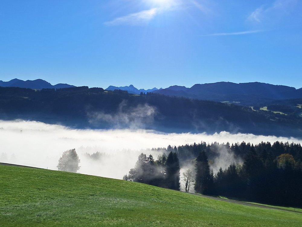 Über dem Nebel Über dem Nebel