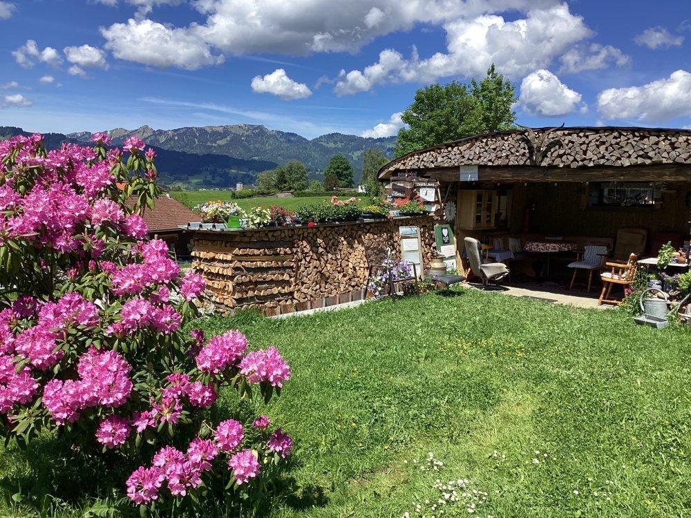 Wohlfühloase Wohlfühloase