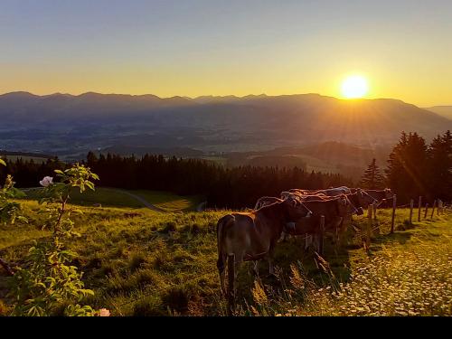 Sonnenuntergang Alpe