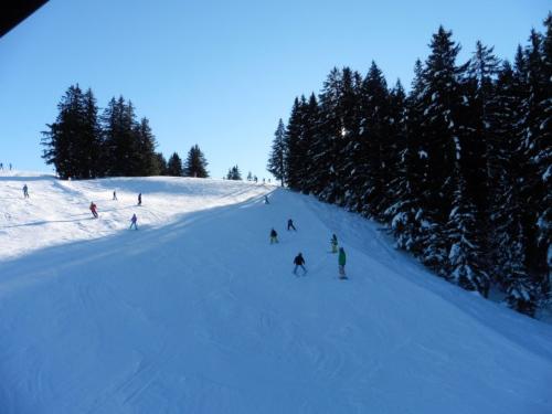 unserskigebiet-sichtvomhauseaus