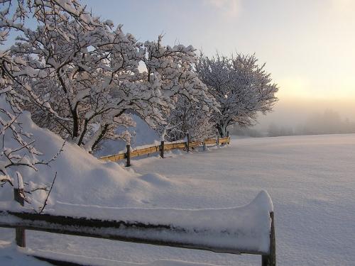 winter