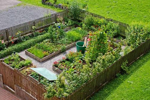 Unser Bauerngarten