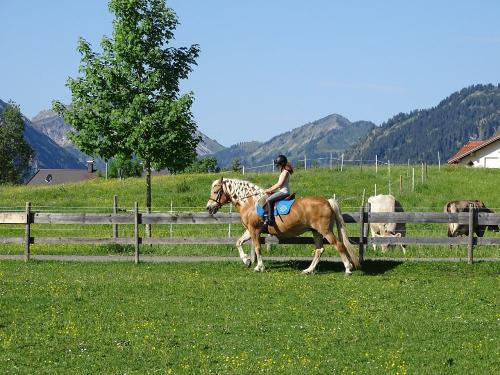 Unser Reitplatz