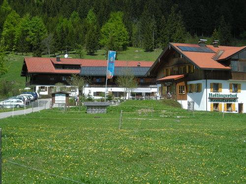 Haflingerhof Oberjoch