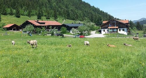 Haflingerhof und Kematsried