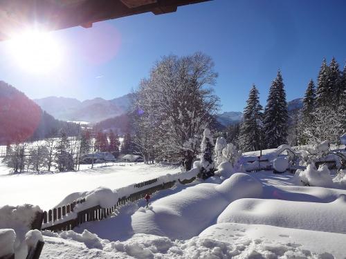Winter