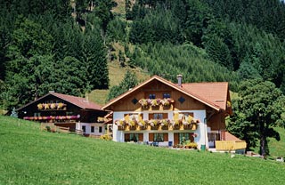 steinmueller