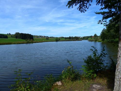 Herrenwieser Weiher ganz in der Nähe