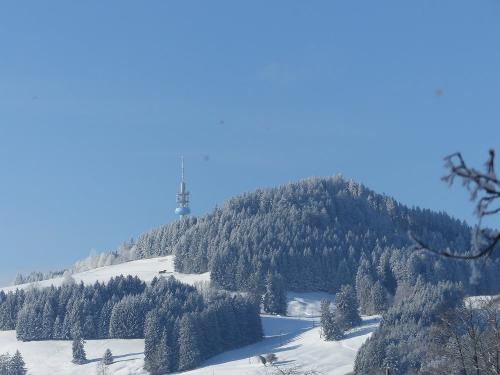 Blick zum Blender
