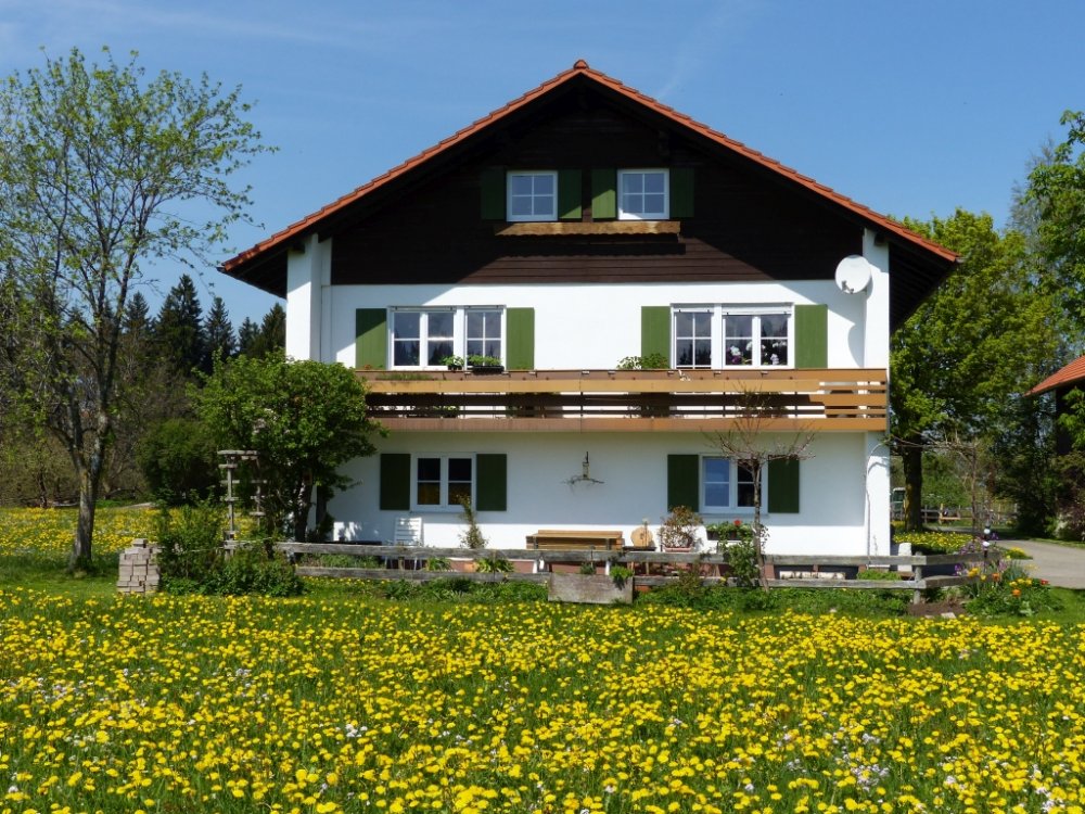 Ferienwohnung Waldblick