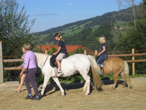 Ponyreiten