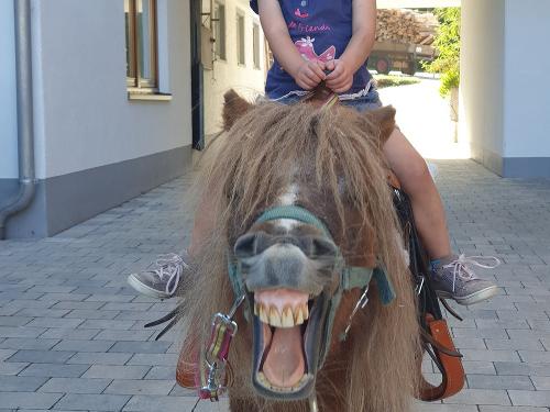 Ponyreiten, sorgt für strahlende Kinderaugen