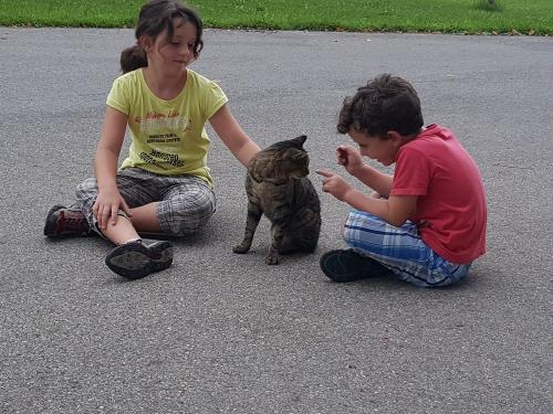 Jimmy mag Streicheleinheiten