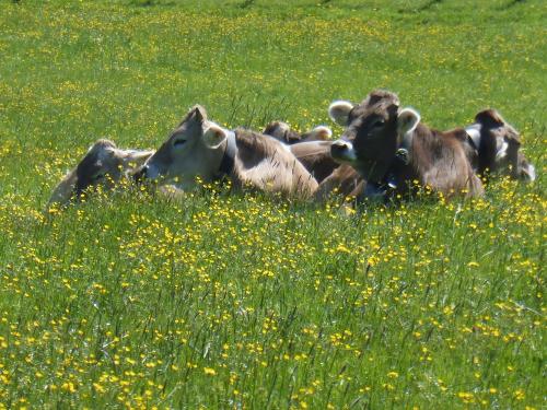 Da lässt es sich aushalten