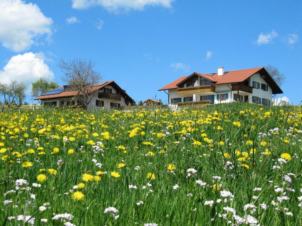 Frühling auf dem Ferienhof Günther