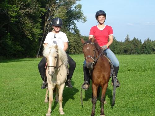 reiten