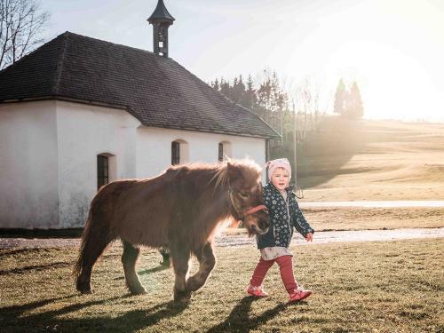 Ponyreiten