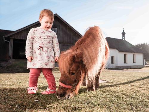 Ponyreiten