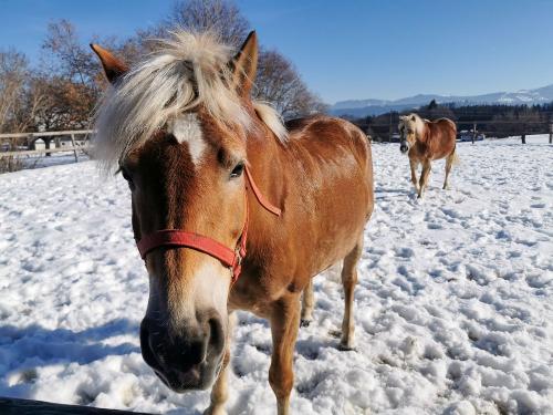 schöne Momente auch im Winter
