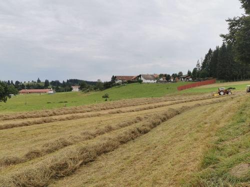 Beim Heiba