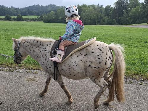 Ponyreiten auf Pünktchen Ponyreiten auf Pünktchen