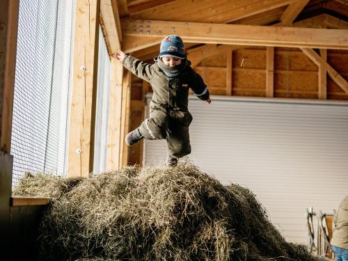 Heu hüpfen macht Spaß