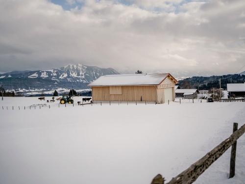 Mutterkuhstall im Winter mit Blick auf den Grünten