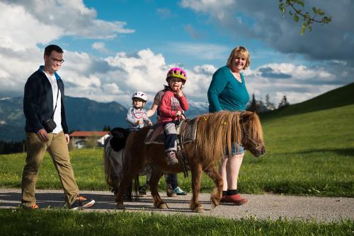 Spaziergang mit den Mini-Shetties