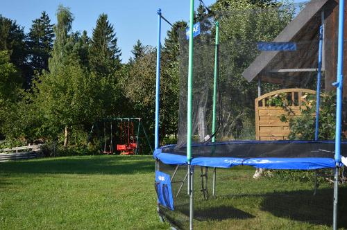 Spielbereich
