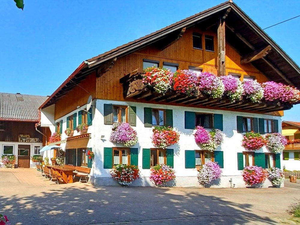 20230823_101150 20230823_101150