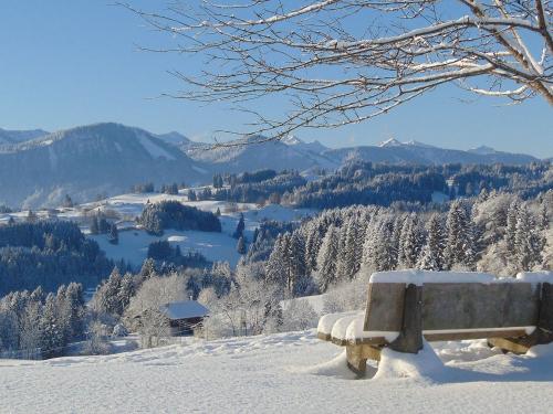 Setzen Sie sich im Sommer auf unsere Bank auf dem Aussichtshügel 100 m vom Haus
