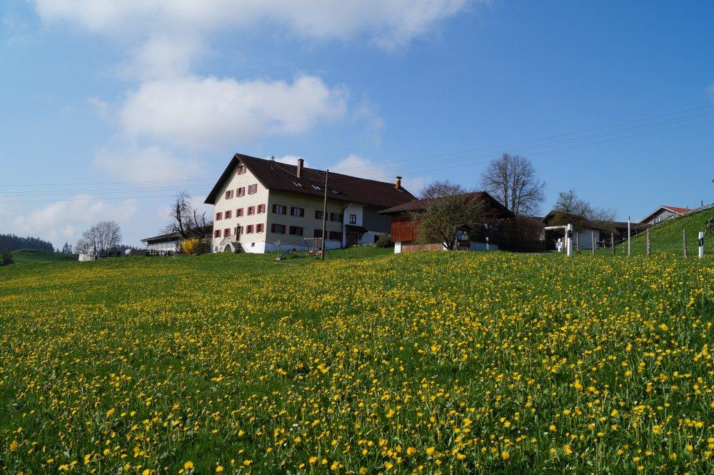Bauernhof Sommer Bauernhof Sommer