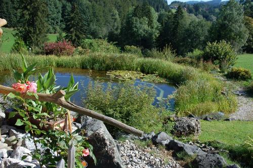 unser Schwimmteich