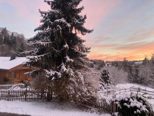 Blockhaus - Winter