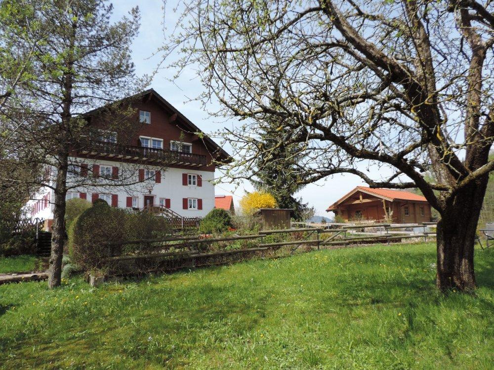 Frühling am Gablerhof