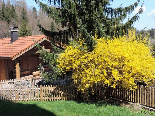 Frühling am Blockhaus