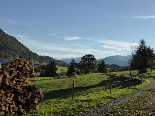 Unsere Weiden am Hof