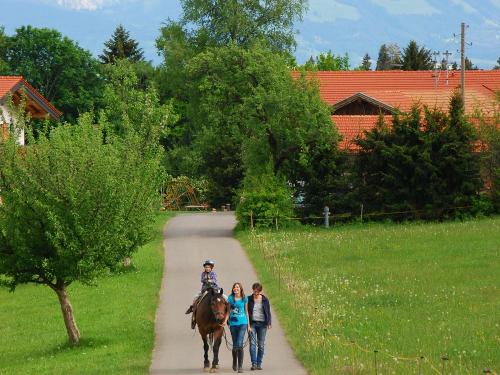 Reiten mit Monja