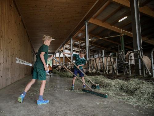 fleißige Helfer bei der Stallarbeit fleißige Helfer bei der Stallarbeit