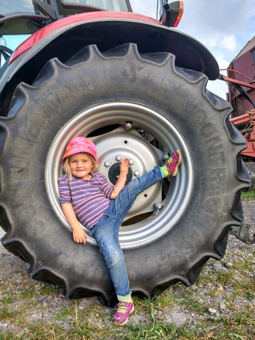 beim Traktor