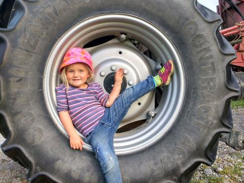 beim Traktor