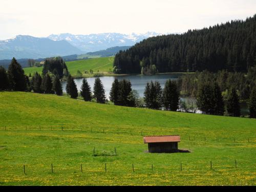Eschacher Weiher